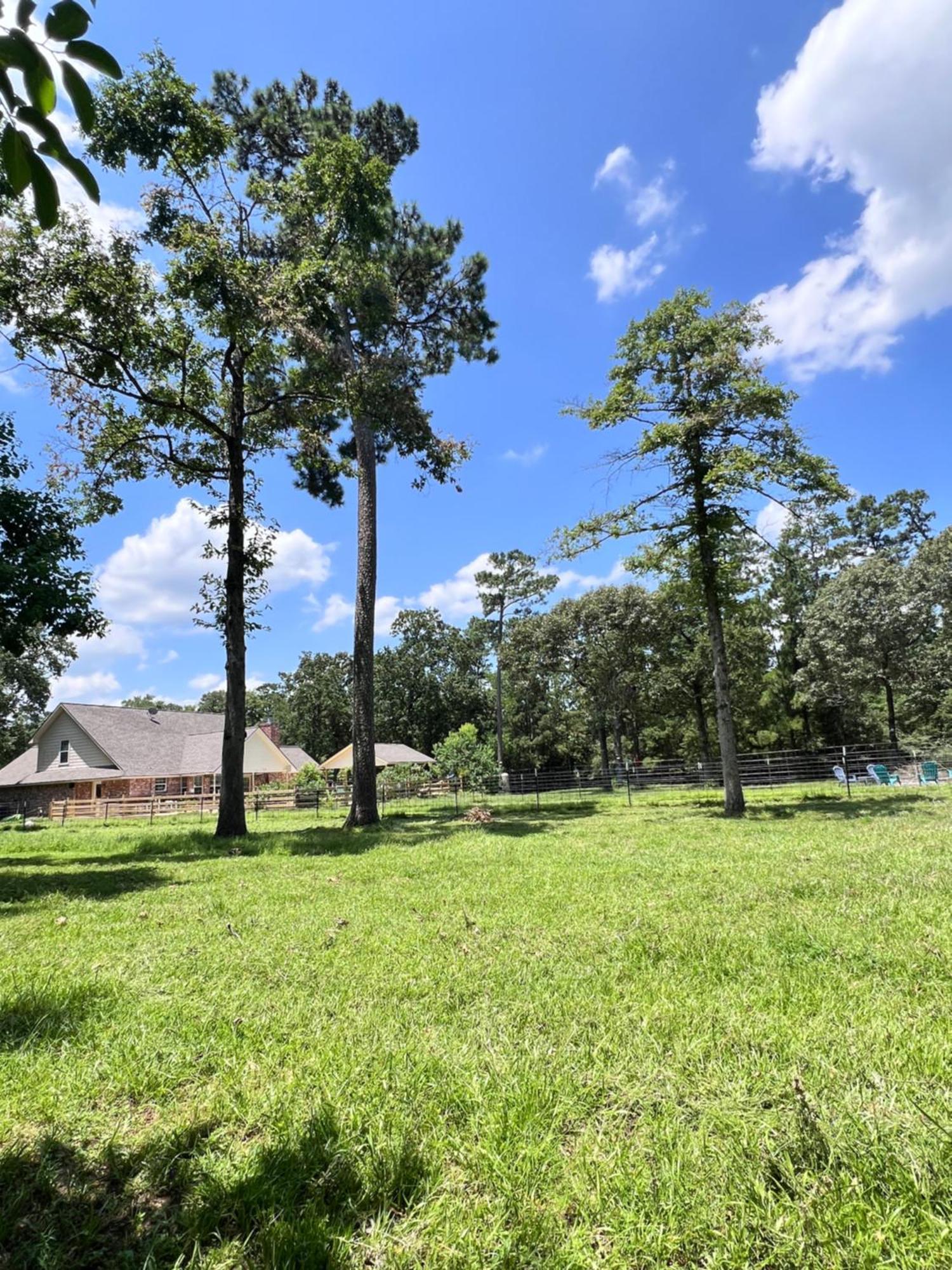 Country Getaway 4 Bedroom Resort In 10 Acre Lot Magnolia Eksteriør billede